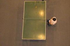 otras_IMG_0393