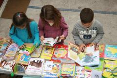 otras_IMG_6157