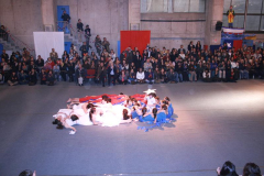 otras_IMG_2287.jpg_backup.jpg