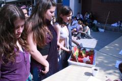 otras_IMG_3476