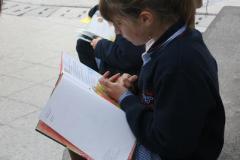 otras_IMG_7810