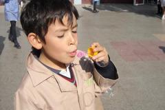 otras_imagen-050