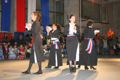 IMG_8233__Copiar_-3146