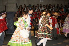 IMG_8418__Copiar_-3208