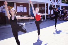 IMG_8871__Copiar_-3085