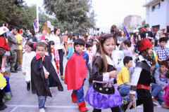 IMG_8988__Copiar_-2996