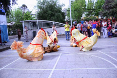 IMG_9037__Copiar_-3023