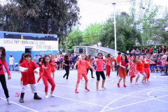 IMG_9069__Copiar_-3039