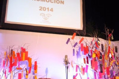 foto_21_nov_2014_503__Copiar_-1961