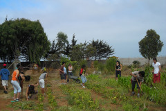 huentelauquen03-1997