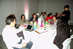 DSC_0493__Copiar_-871