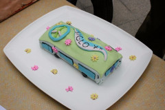 IMG_7352__Copiar_-1006