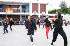 IMG_7393__Copiar_-1019