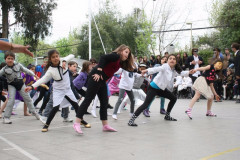 IMG_7466__Copiar_-1030