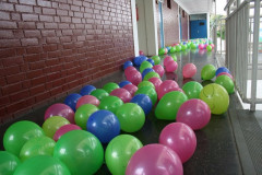 IMG_8291__Copiar_-895