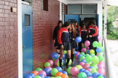 IMG_8294__Copiar_-896