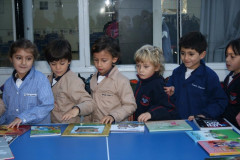 IMG_0155__Copiar_-484