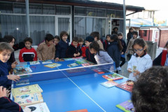 IMG_0161__Copiar_-488