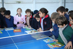 IMG_0164__Copiar_-491