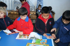 IMG_0165__Copiar_-492