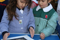 IMG_0166__Copiar_-493