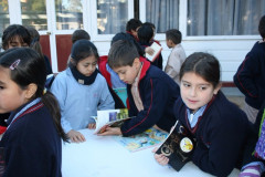 IMG_0178__Copiar_-498