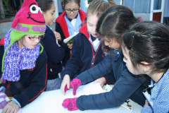 IMG_0179__Copiar_-499