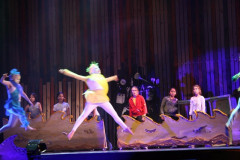 IMG_9239__Copiar_-672