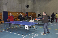 DSC9136__Copiar_-4948