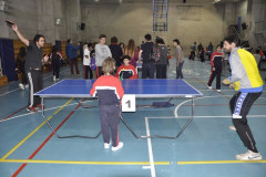 DSC9149__Copiar_-4956