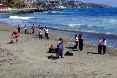 DSCF2226__Copiar_-4783