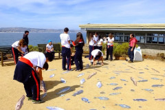 DSCF2456__Copiar_-4789