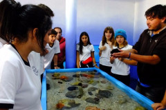 DSCF2487__Copiar_-4790