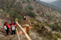 Fotos_febrero_junio_2017_294__Copiar_-4302