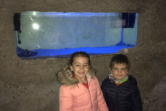 IMG_4531-4676