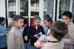 IMG_5771__Copiar_-4317