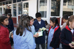 IMG_5772__Copiar_-4318