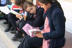 IMG_5784__Copiar_-4324