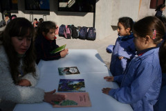 IMG_5797__Copiar_-4330