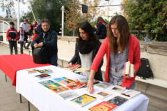 IMG_5918__Copiar_-4355