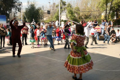 IMG_7402__Copiar_-4732