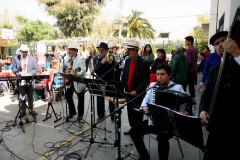 IMG_7424__Copiar_-4737