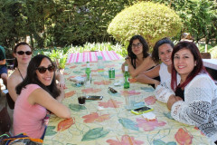 IMG_1997__Copiar_-7008