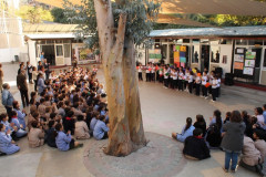 IMG_2506__Copiar_-7097