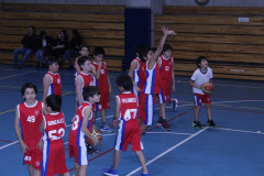 IMG_2586__Copiar_-7196