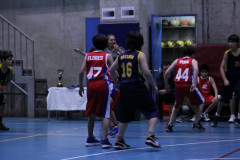 IMG_2594__Copiar_-7199