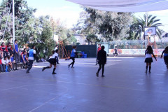 IMG_2710__Copiar_-7190