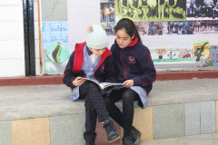 IMG_0136__Copiar_-8255