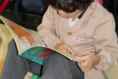 IMG_0142__Copiar_-8259