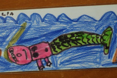 IMG_0151__Copiar_-8266